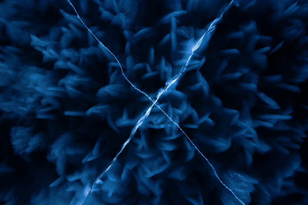 Frozen X