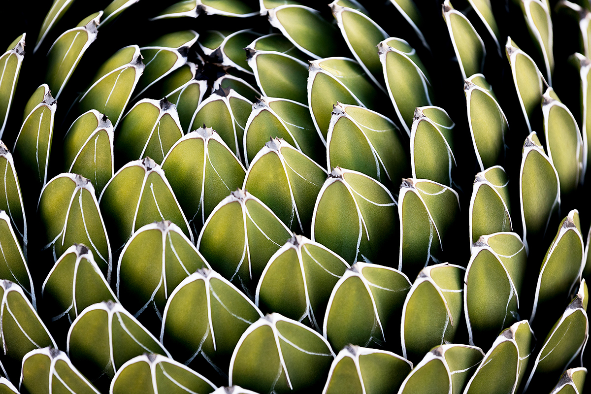 Non-figurative photography