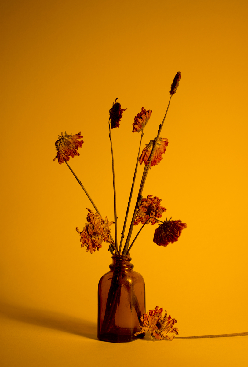 Beauty in the Damaged