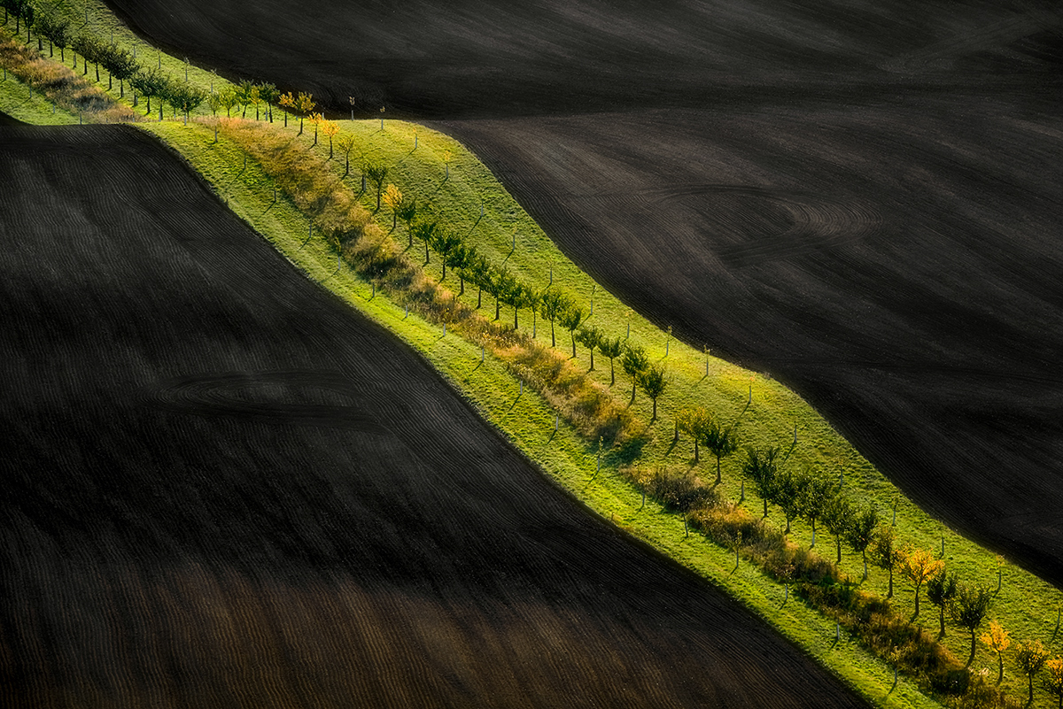 Moravian ribbon