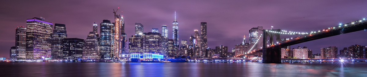New York Skyline I