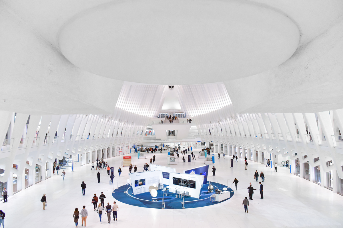 The Oculus