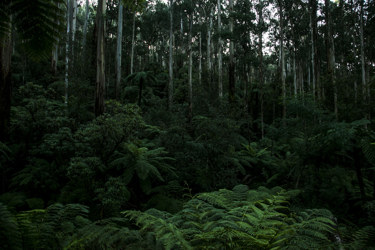 AUSTRALIA