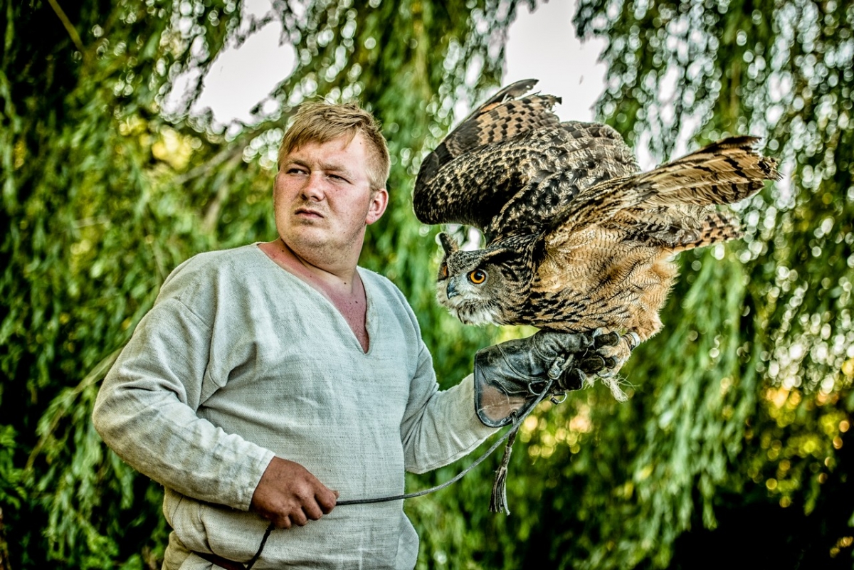 Falconer