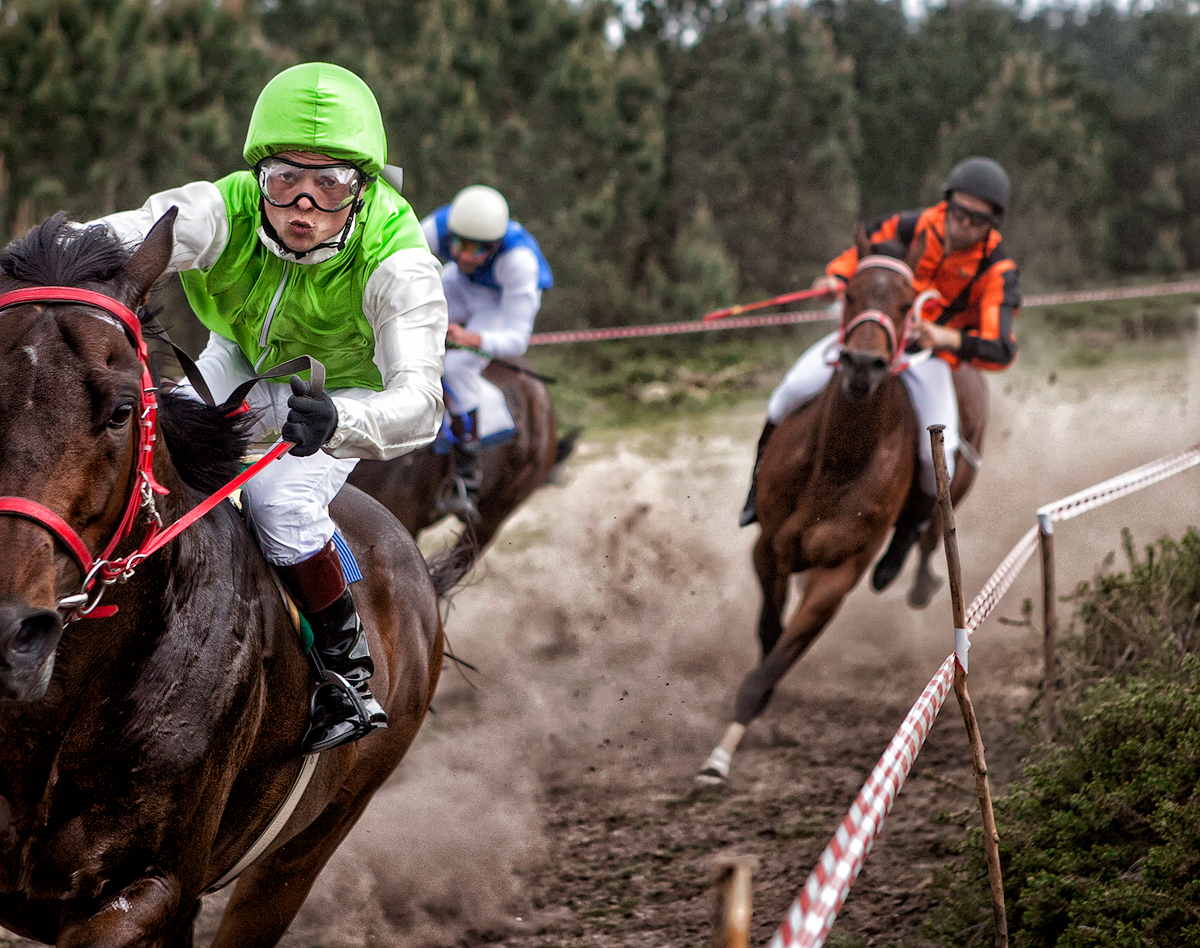 winning Horse