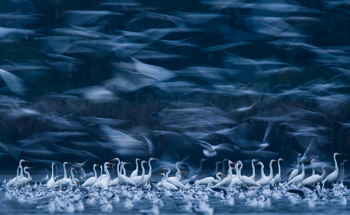 Phantoms of the morning