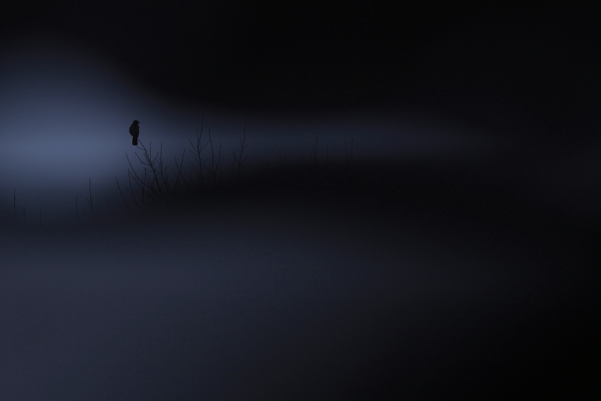 Land of the Darkness