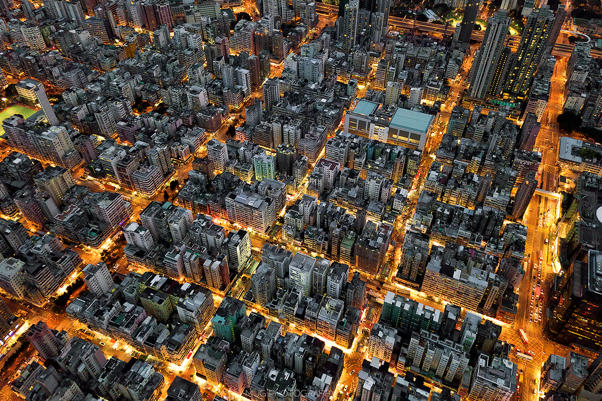 CONCRETE JUNGLE 