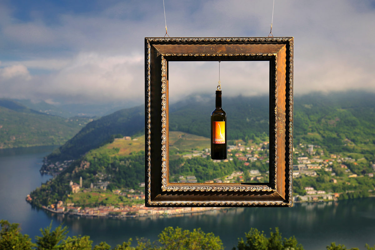 Wine Is Art