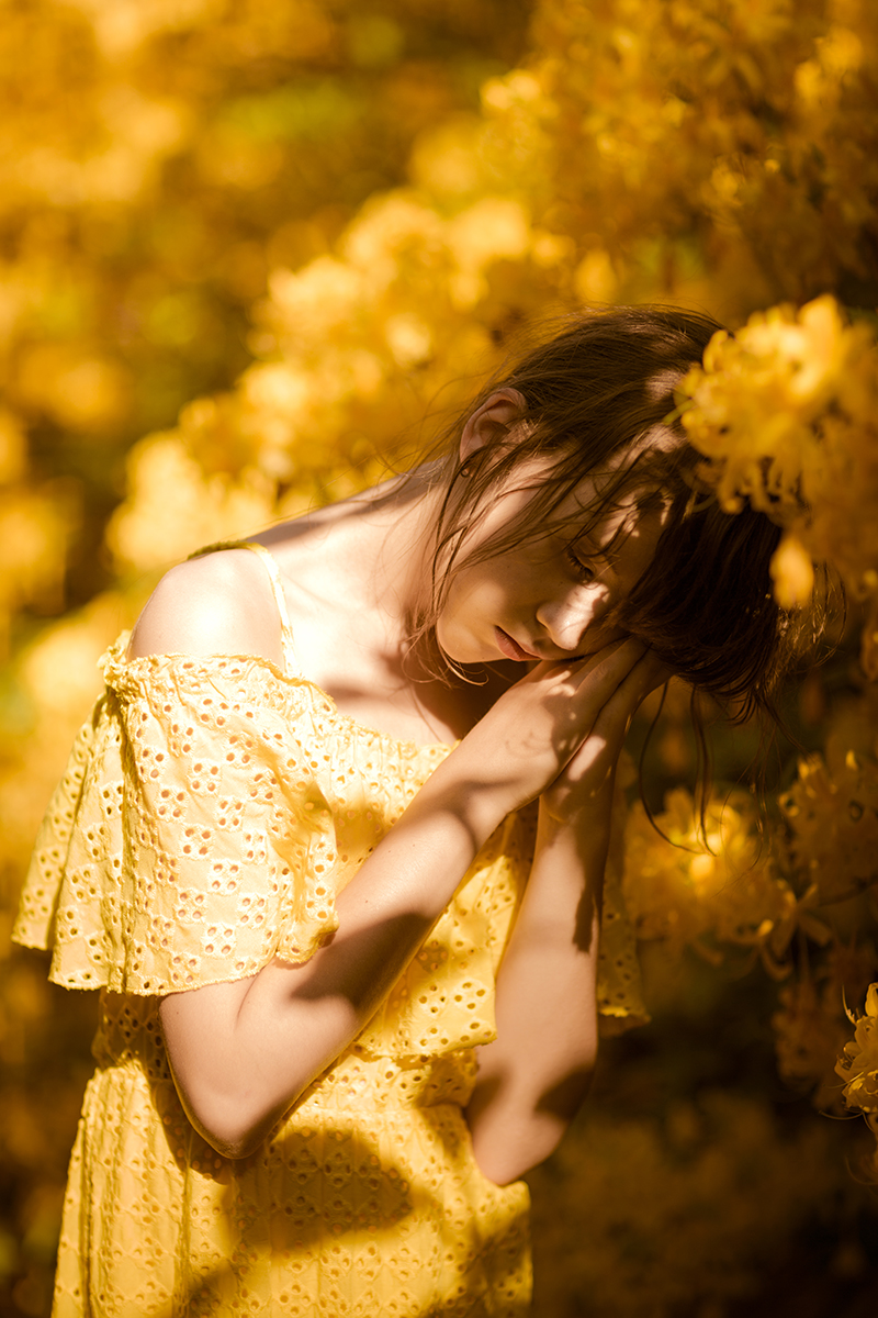 Dreamer.