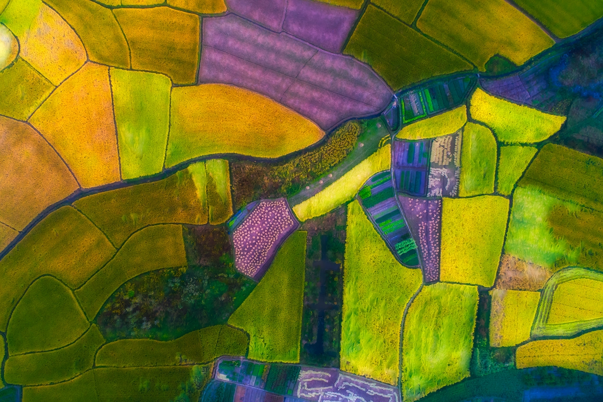 colorful farmland