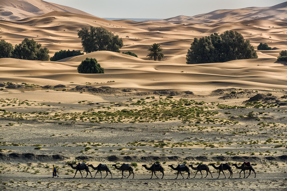 Erg Chebbi
