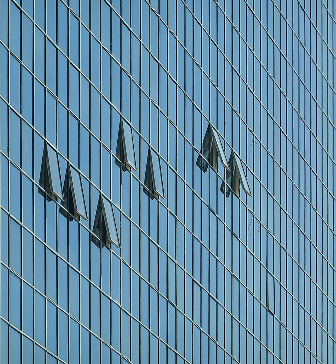 blue windows