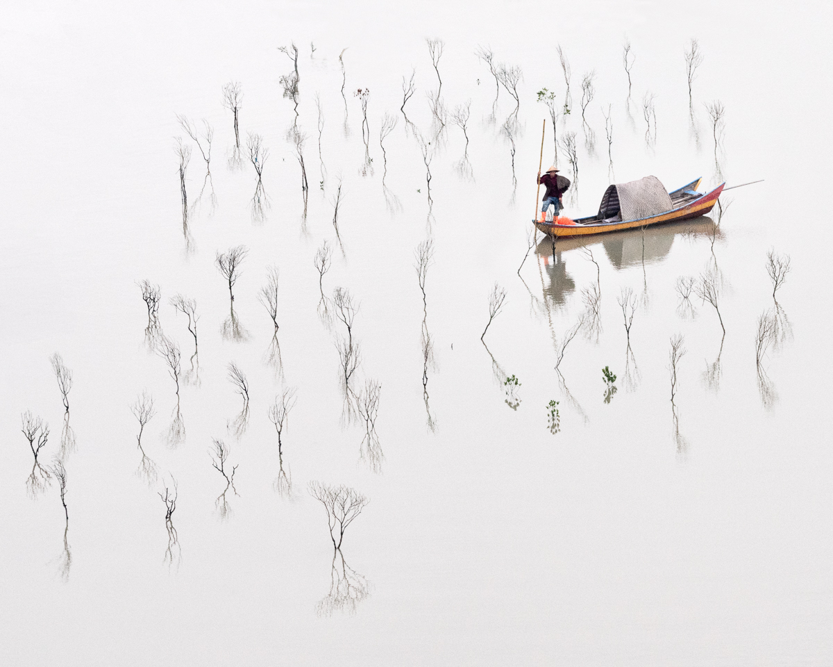 In the Mangroves