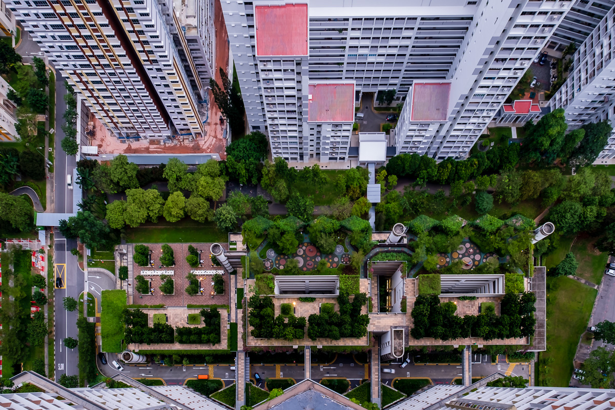 Landscape Design