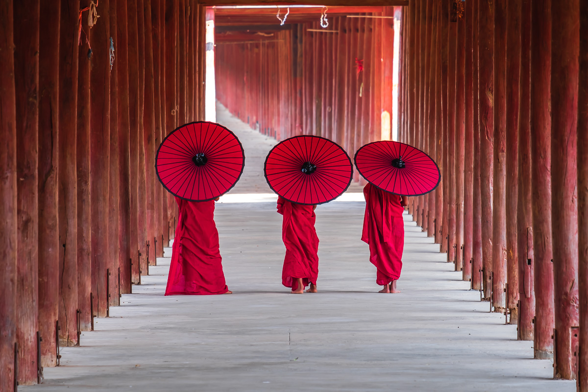 Novices monk