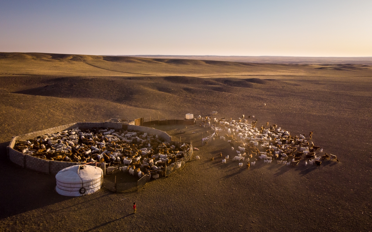 Gobi sunrise