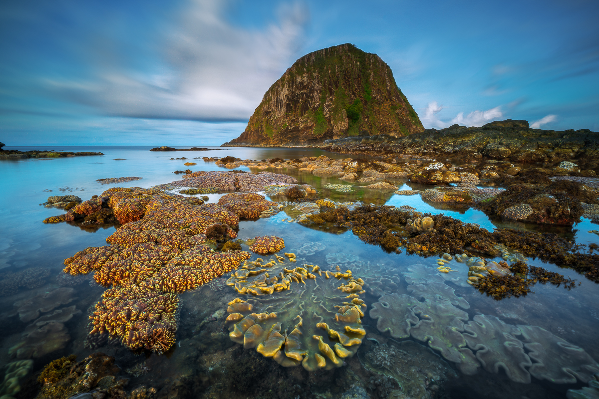 Sea Coral Reefs