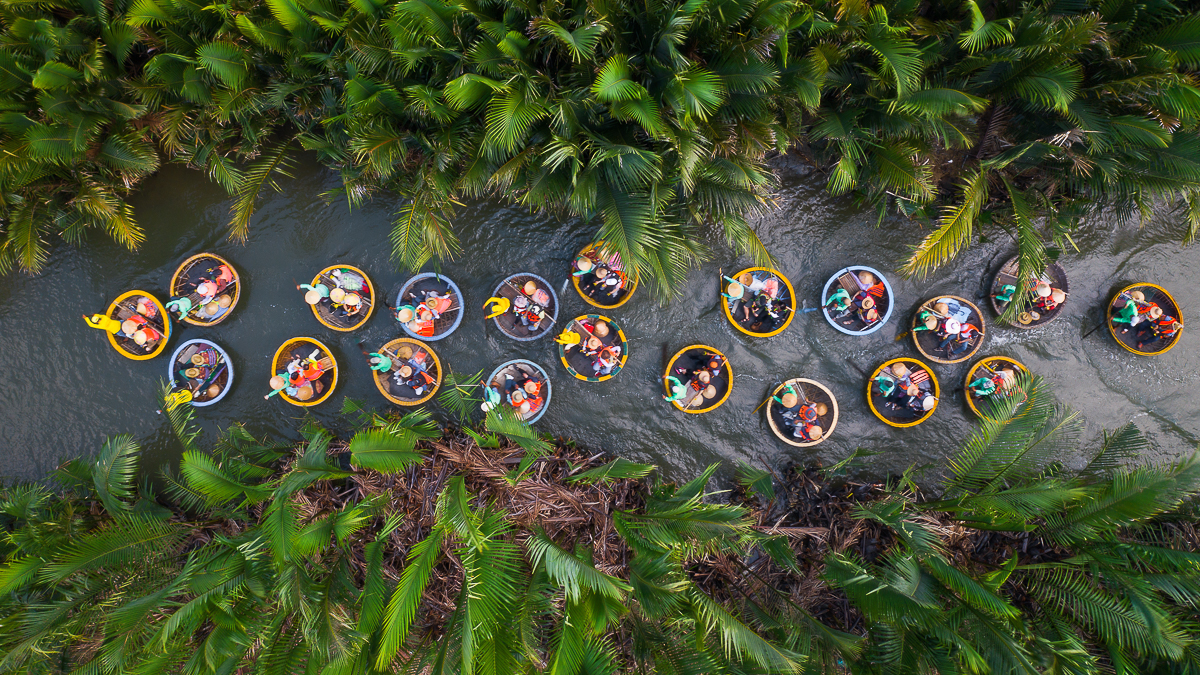 Eco-tourism in palm forest
