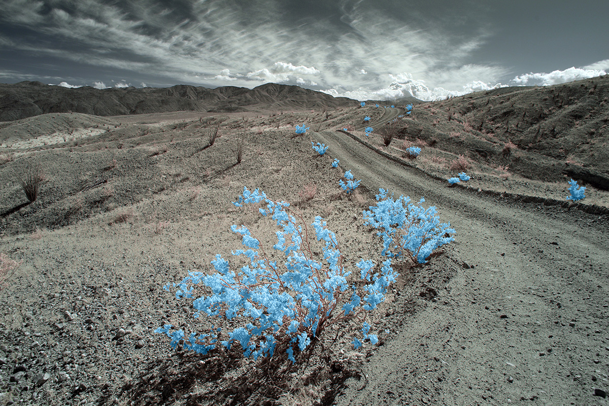 Desert Journey