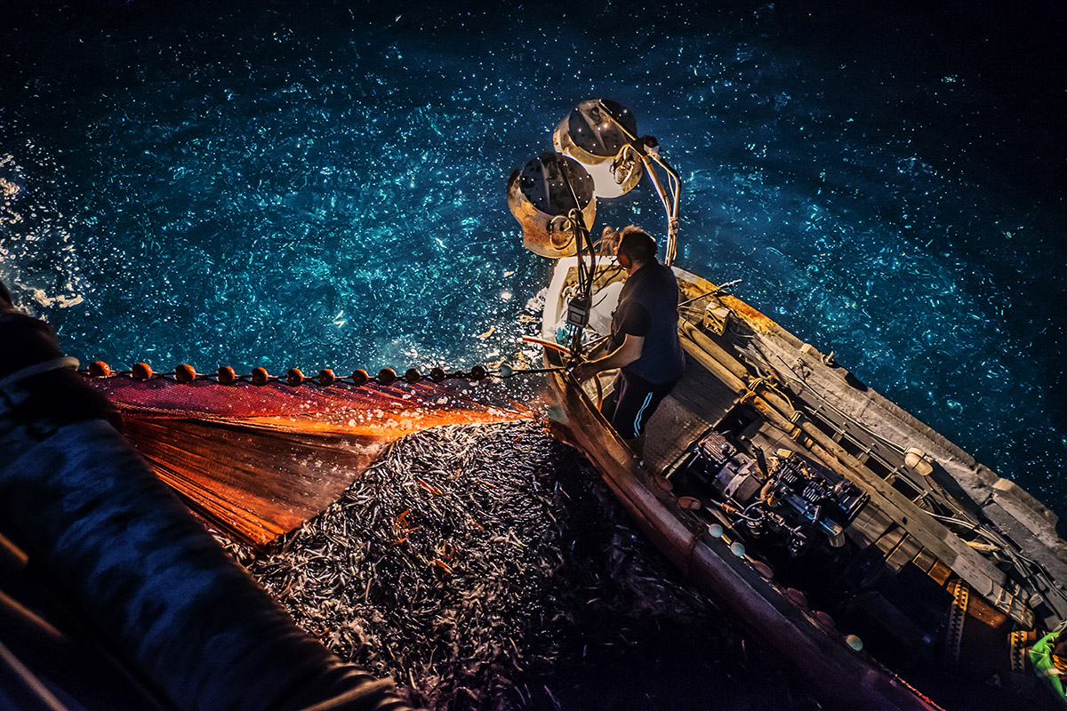 Pesca a Lampara