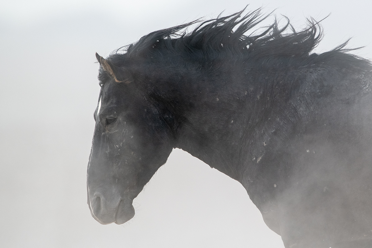 Endurance