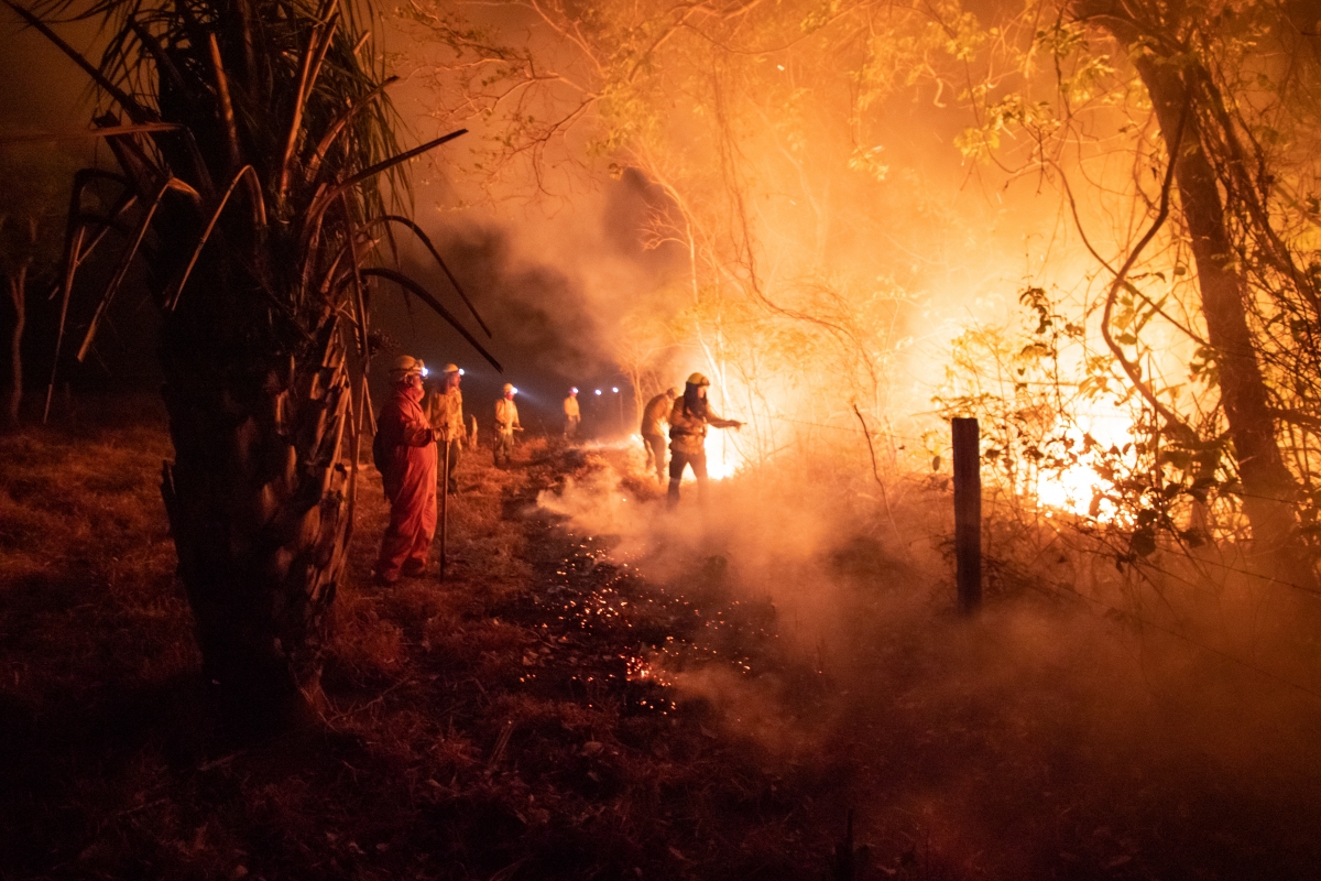 Incendios - Fires in Amazonas