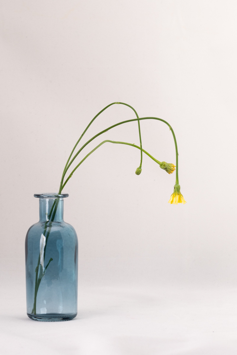 Still Life 2