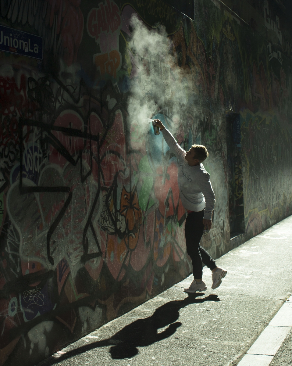 THE GRAFFITI ARTIST