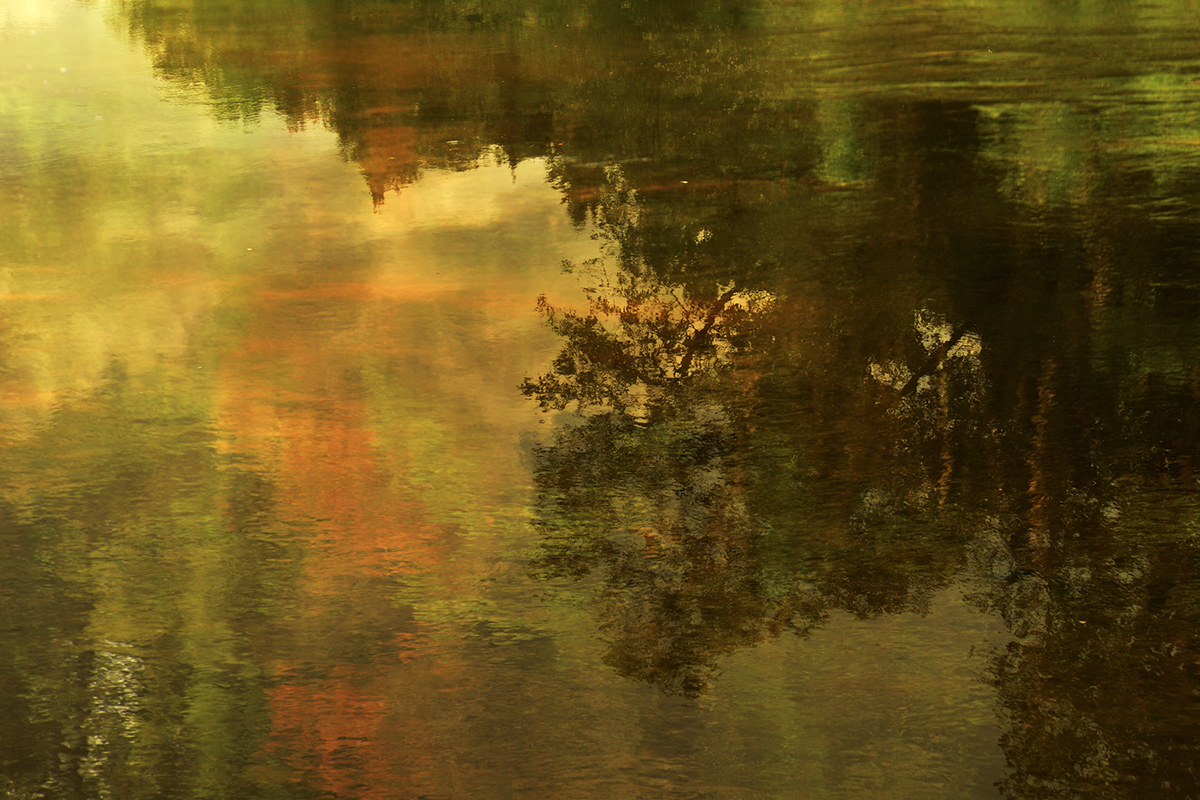 Reflections on the Maskinonge