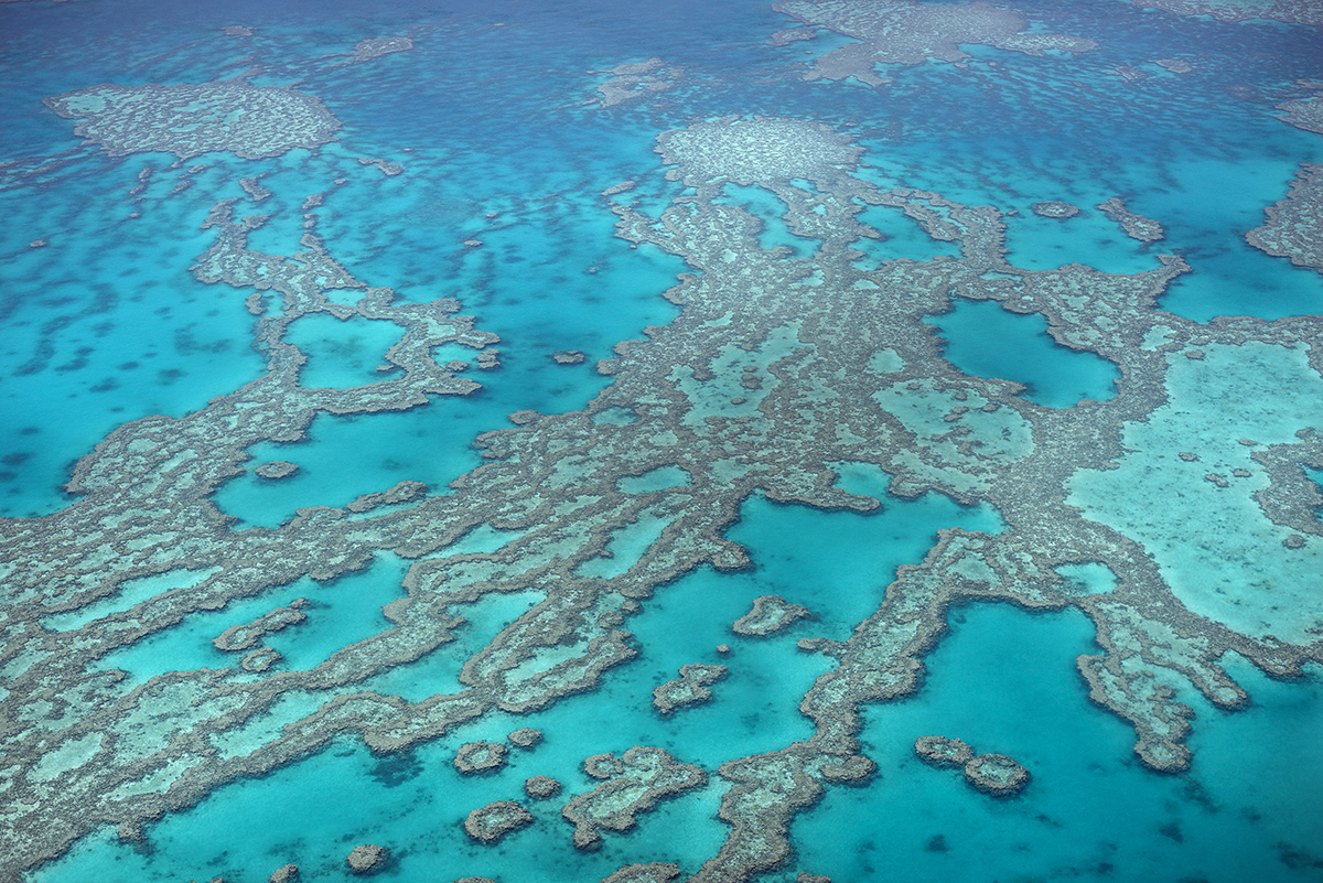 The Great Barrier Reef