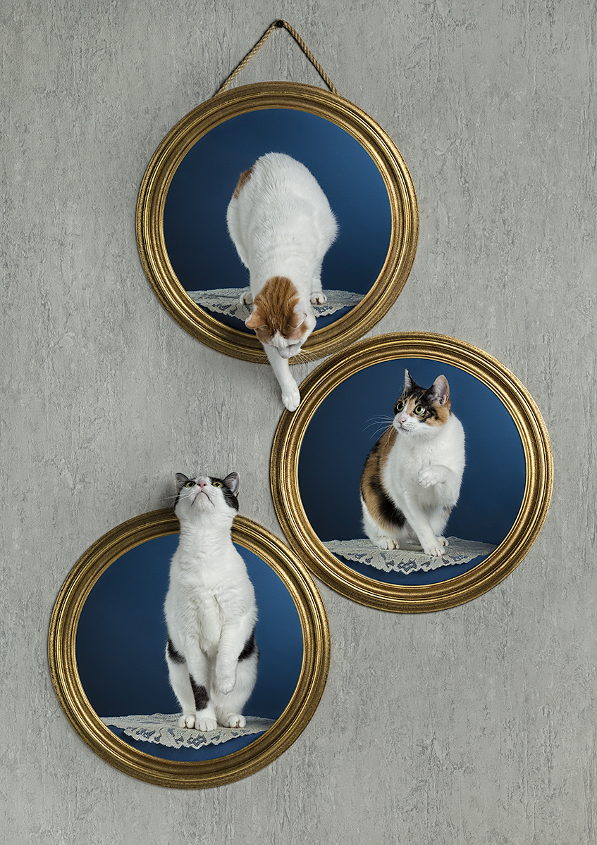Three round frames on the wall