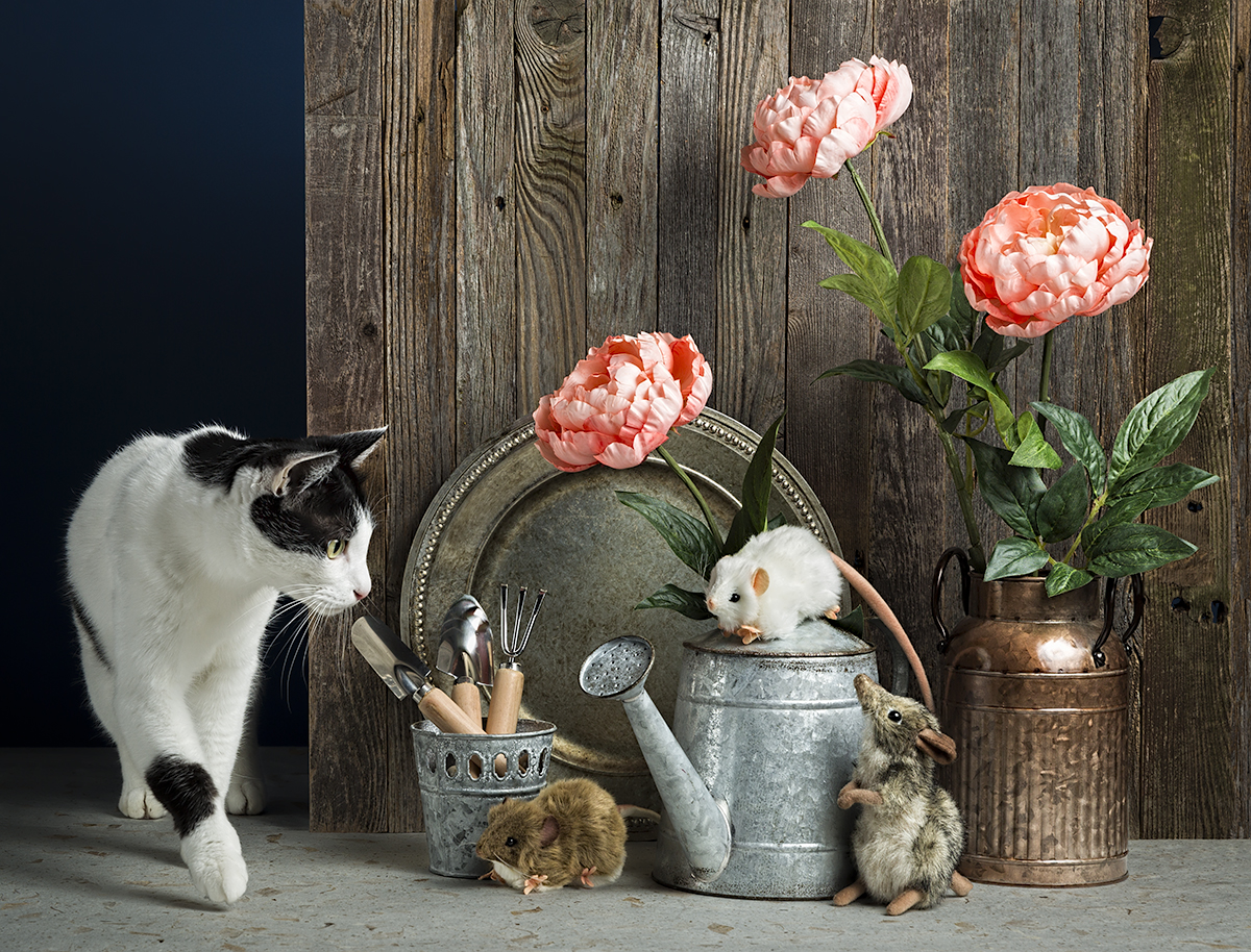Mice in the garden