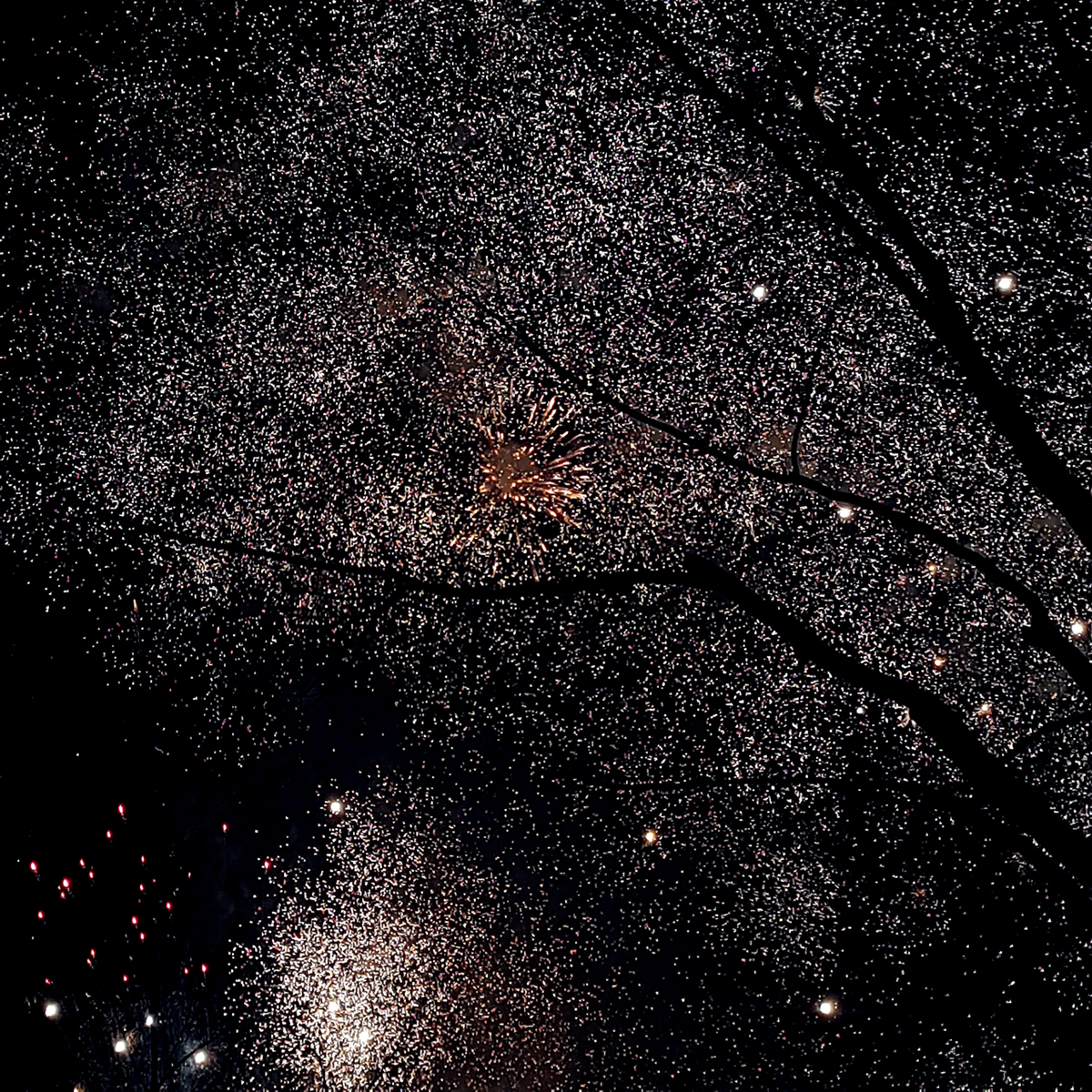 Fireworks on the trees