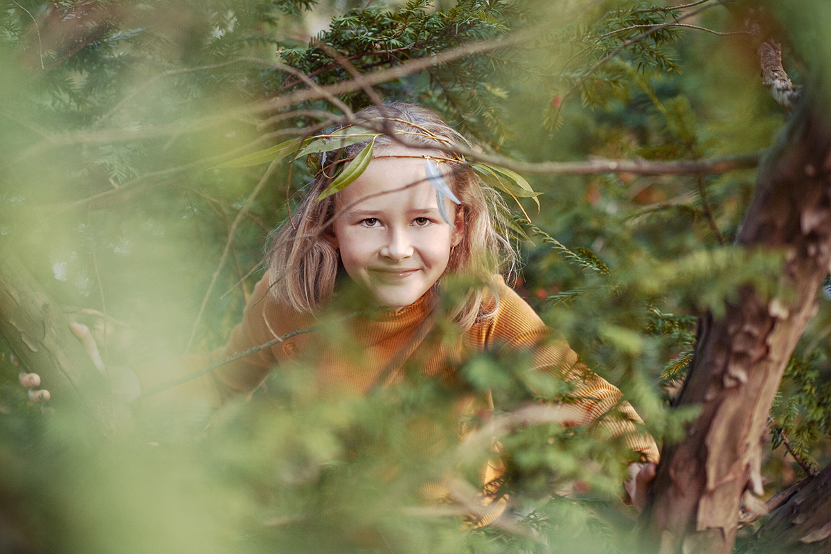 Playground in the trees