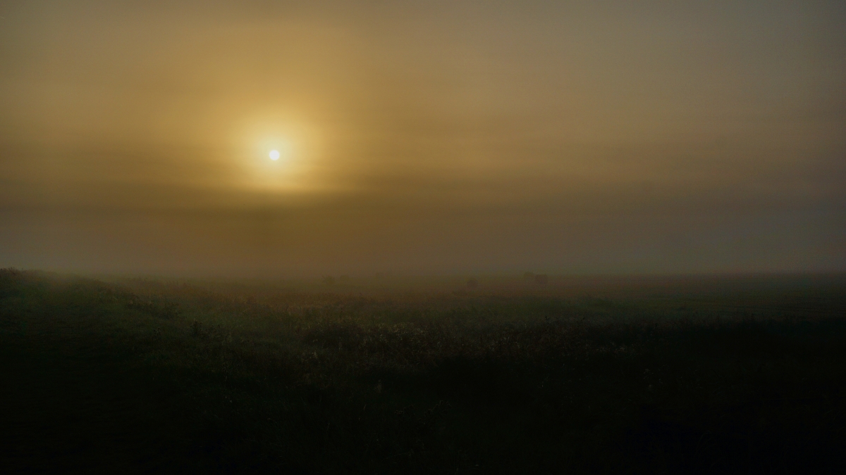 Norfolk morning