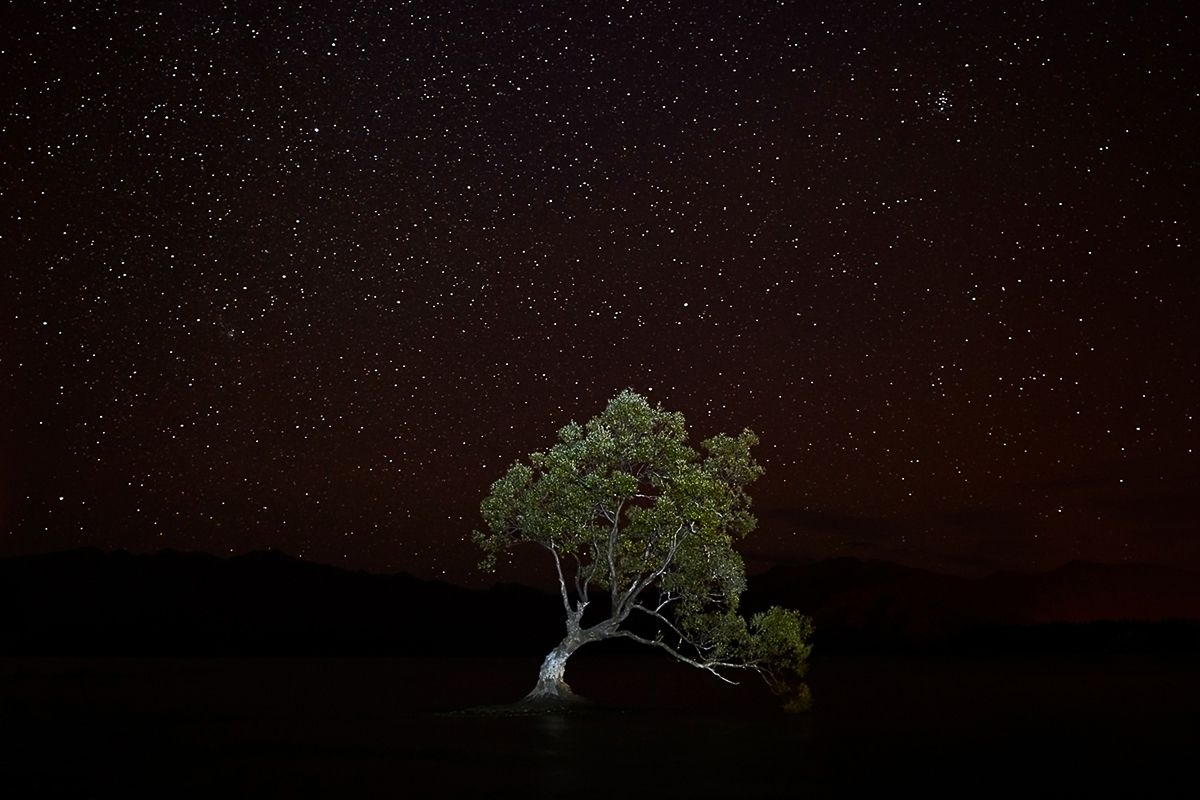 Lonely night