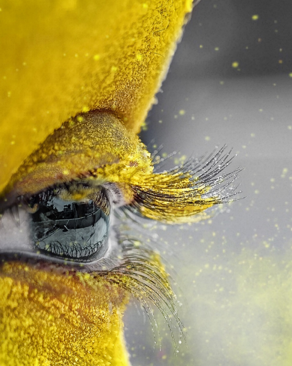 Surrounded by yellow