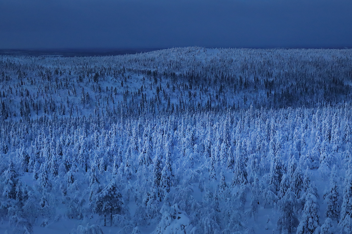 Polar Night