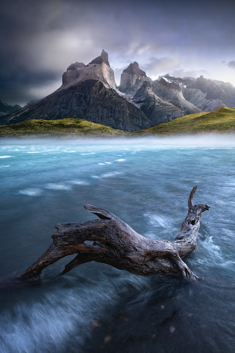 Log and Horn
