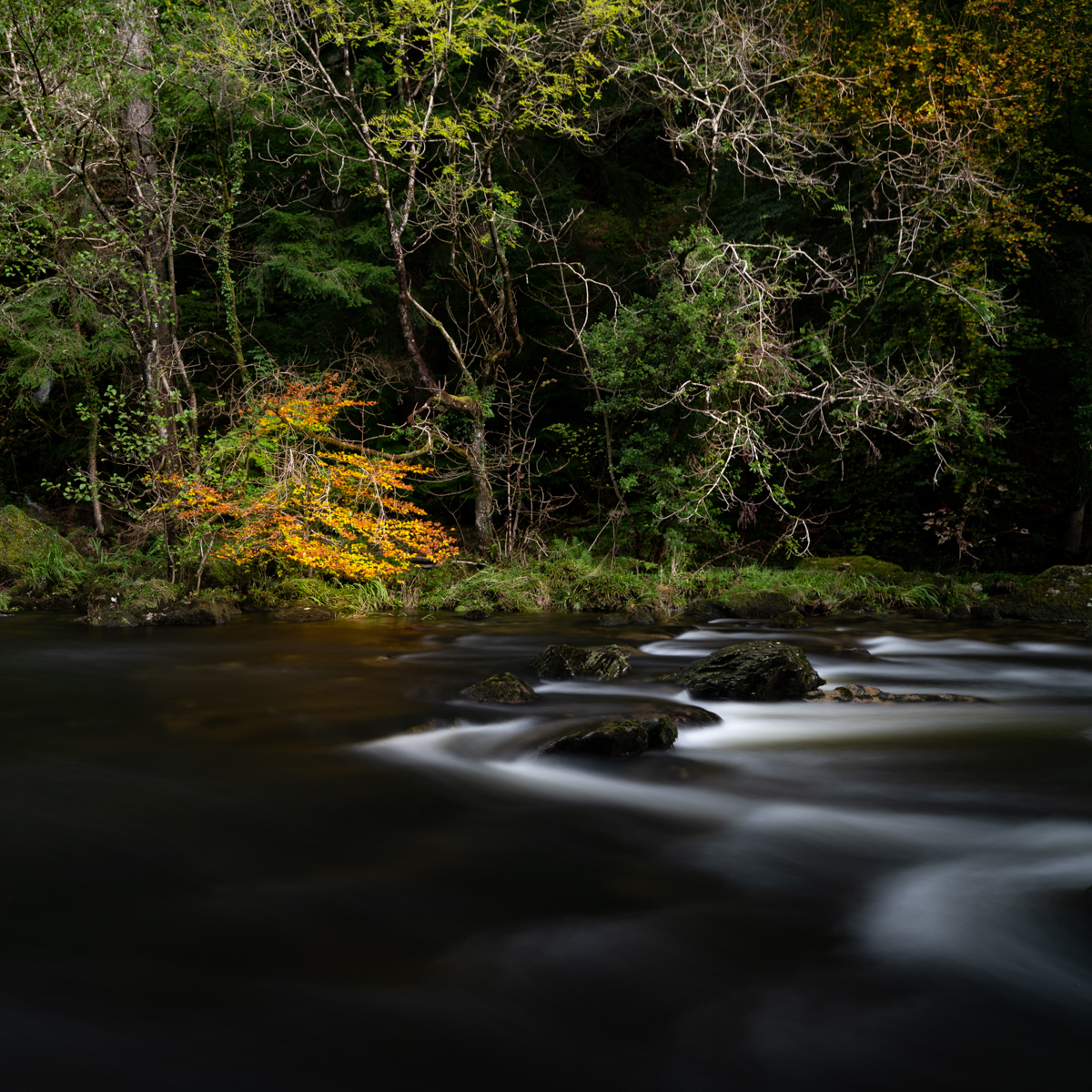 Autumn