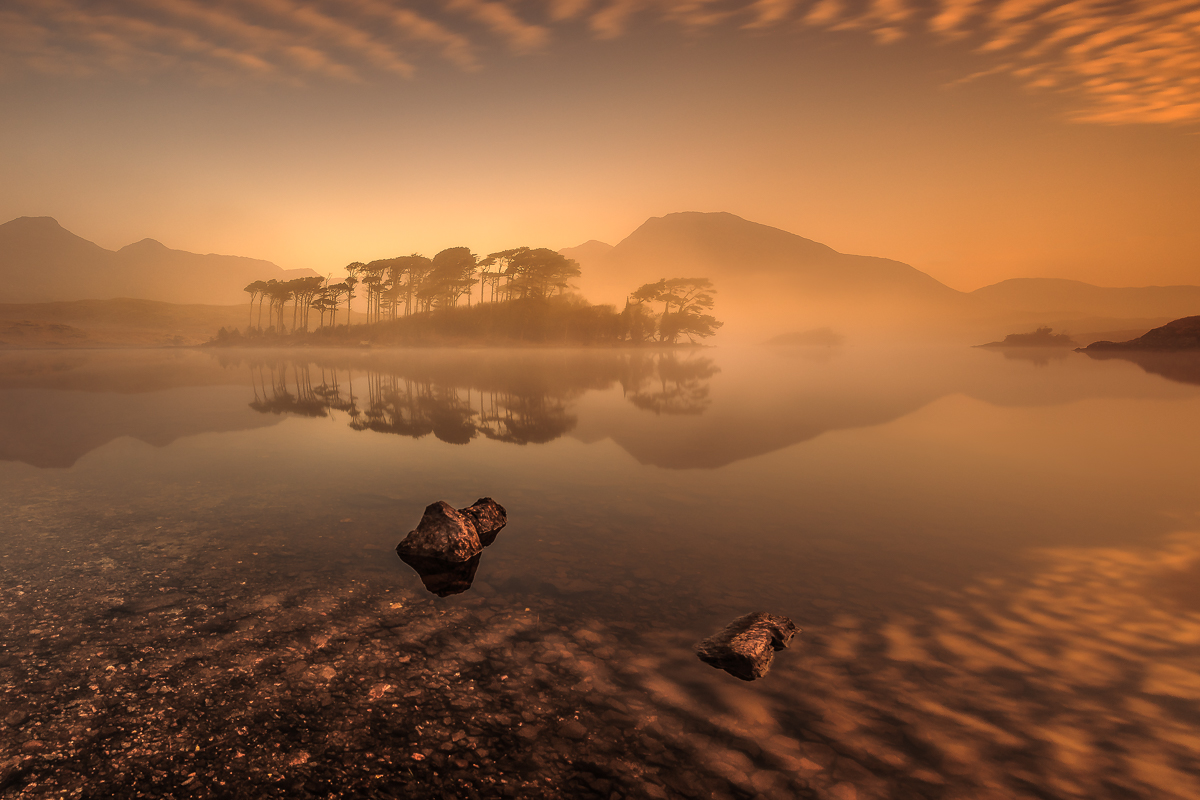 Pine Island