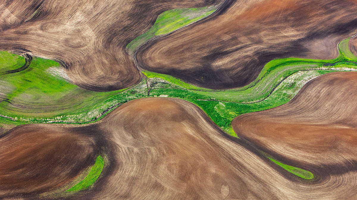 Palouse