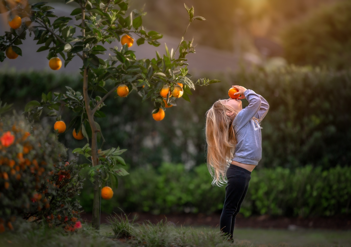 The smell of citrus 