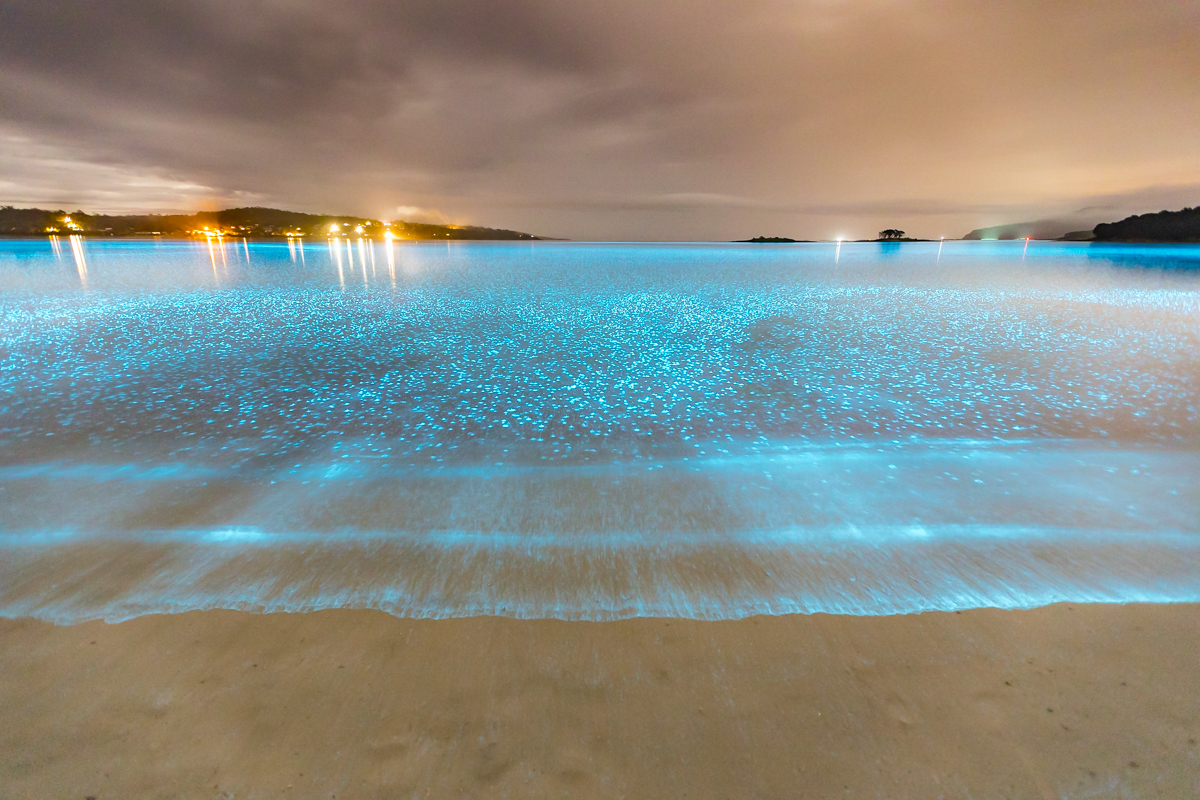 Disco On The Water