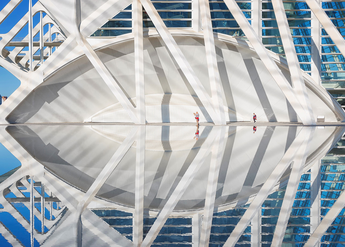Reflexes