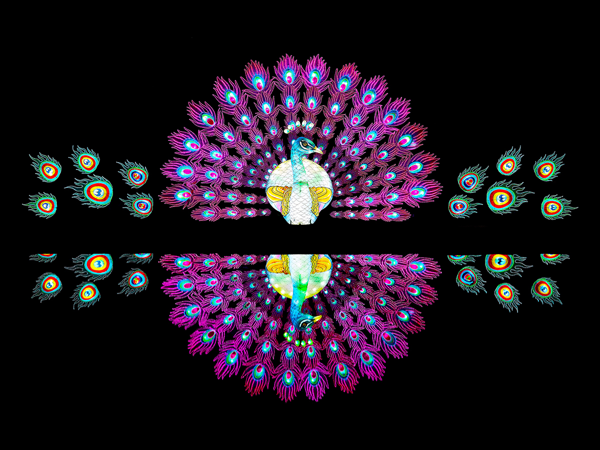 Lightopia II