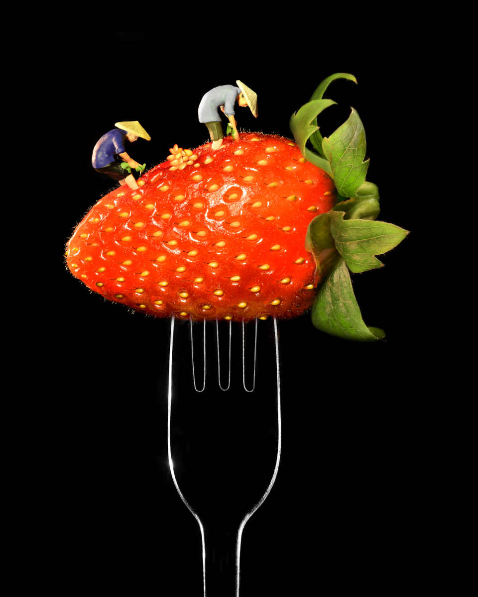 A strawberry Farmers