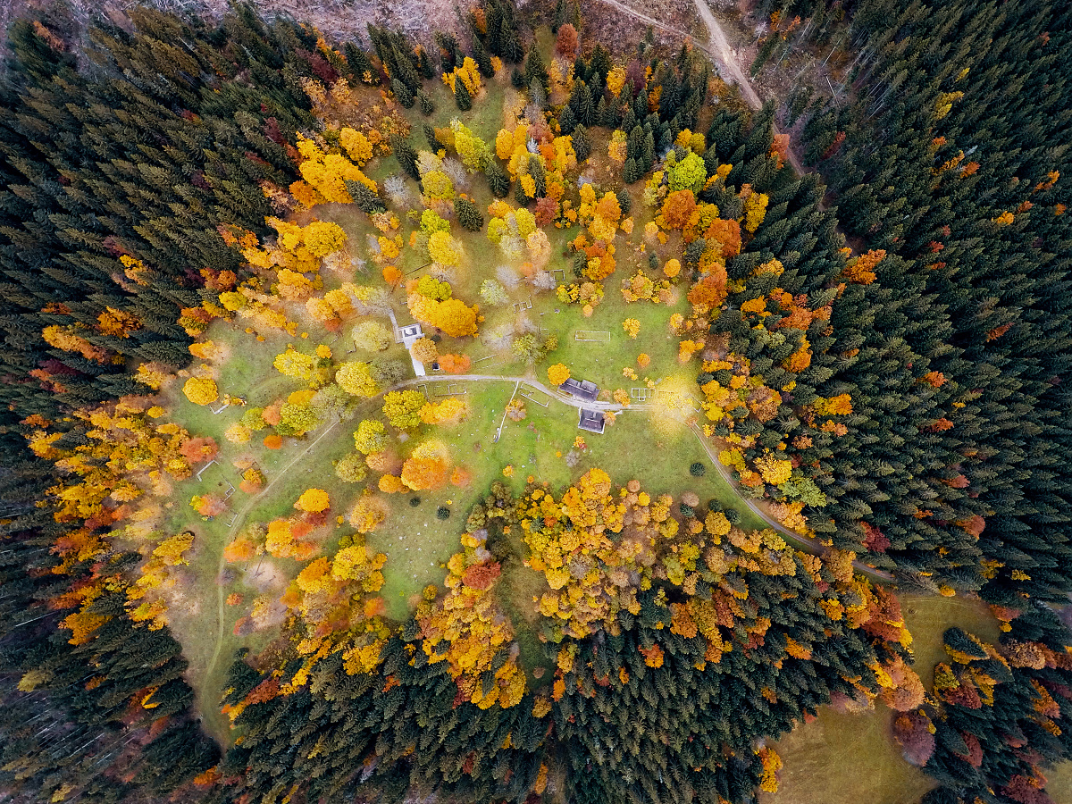 The Heart of Autumn