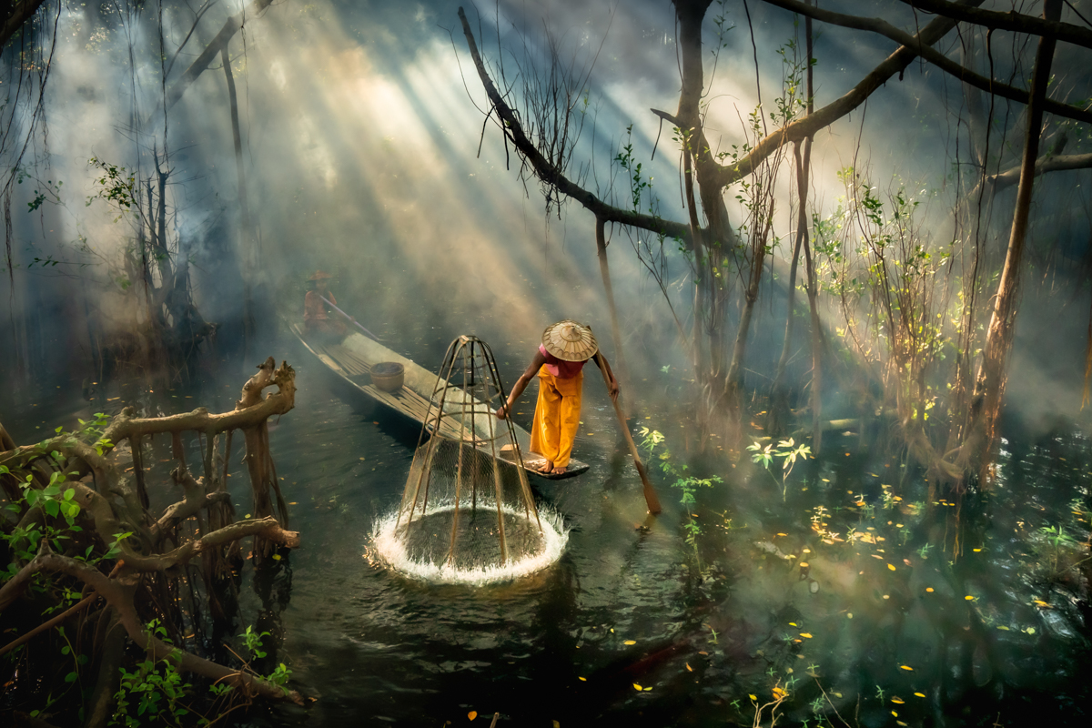 Mangrove Fisherman 2